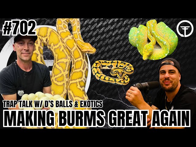 Big Exciting News In The Burmese Python Game | Trap Talk With MJ