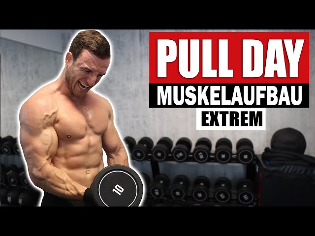 20-minute pull-day workout for at home with dumbbells | Back, biceps - Sascha Huber