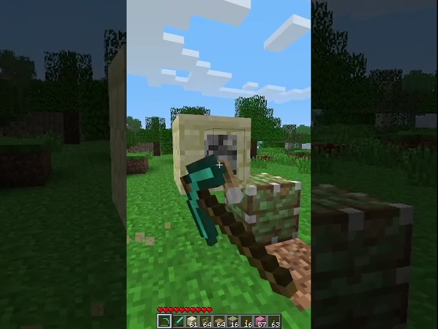 putting pressure plates on fences was hard in old minecraft