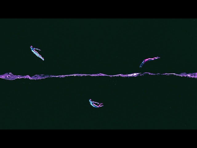 Z.Y.L.A.R - Annulus