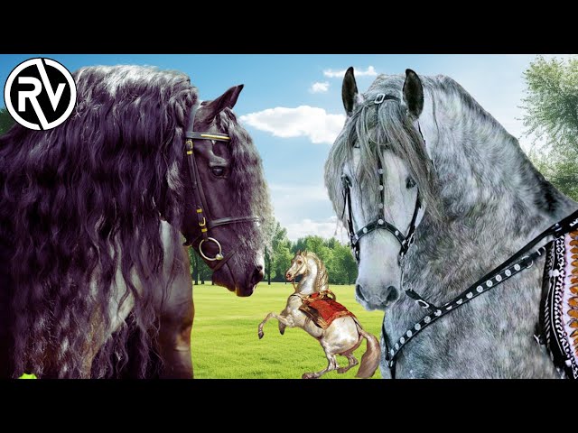 What is a Baroque Horse? And ALL its Historical Breeds