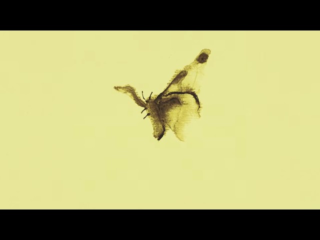Keo - Fly (Official Lyric Video)