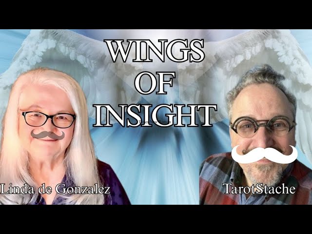 Calm Down, It’s Not That Deep | Wings of Insight with Linda de Gonzalez and TarotStache