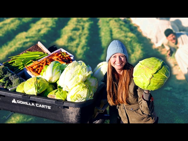 SECRETS for Winter Food Security