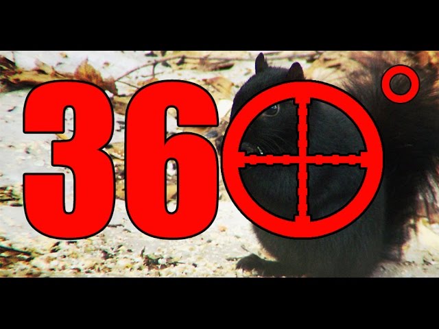The World's Greatest Squirrel Hunting 360 Degree Video