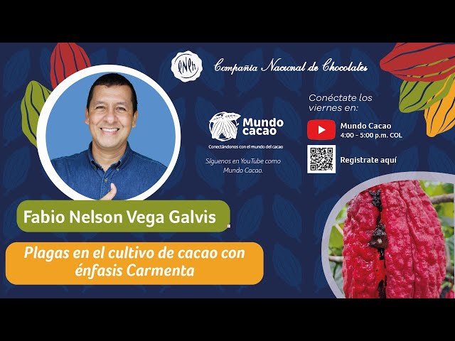 Charlas virtuales: Plagas en el cultivo de cacao con énfasis Carmenta