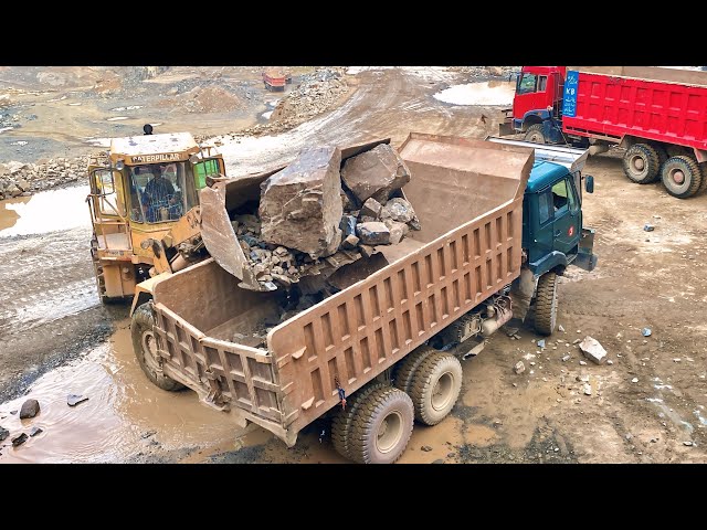 Giant Loader Loading Stones into Dumper Stone Loading & Crushing | Heavy Equipment at Work