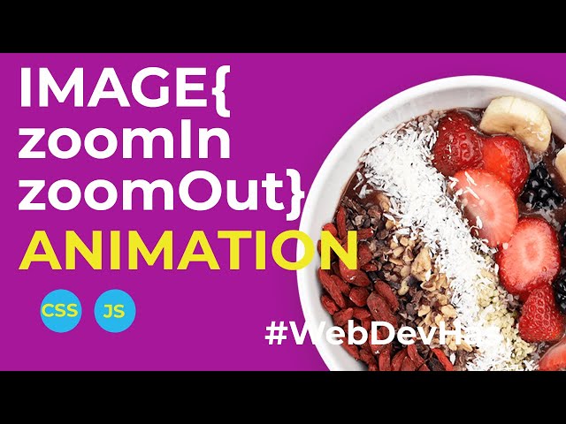 Smooth Image Zoom In & Zoom Out Animation with CSS & JavaScript
