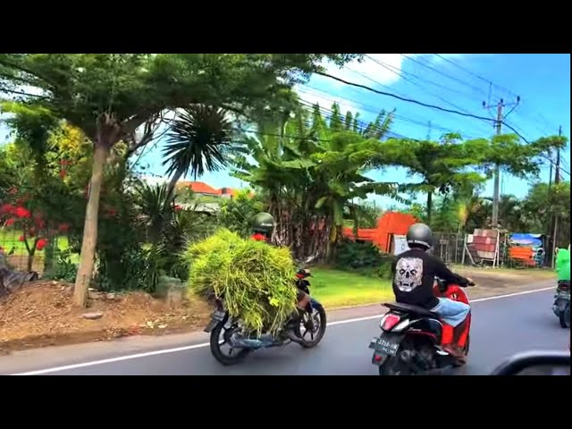 Driving in Indonesia 🇮🇩 What do they carry on motorcycles in Indonesia? Streets of Bali Yogyakarta