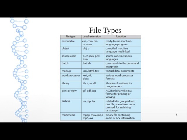 Chapter 11 - File-System Interface