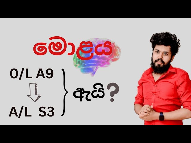 Brain - Ravindu Bandaranayake #ictfromabc