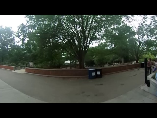 DC 360: Tiger at Smithsonian's National Zoo