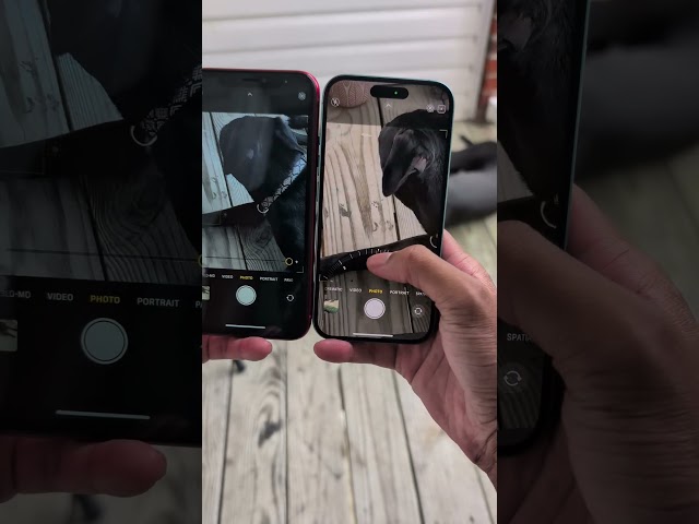 iPhone XR VS IPHONE 16 Camera Zoom Test 📸