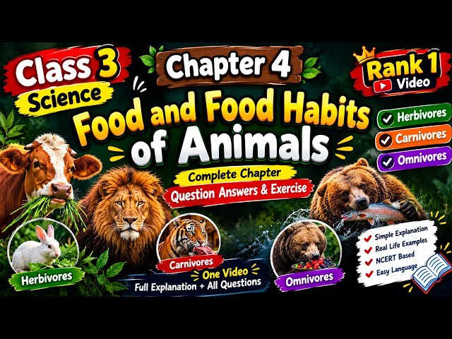 Class 3rd Science Ch-4 || Food and Food Habits of Animals || Explanation || Ques- Ans || Exercise