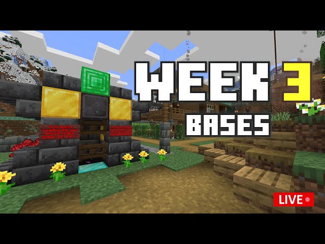 Checking out YOUR BASES on SODACRAFT SEASON 4 (also granting wishes with science)