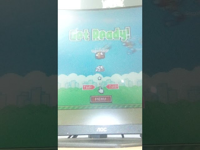 Playing Roblox flappy bird for the first time