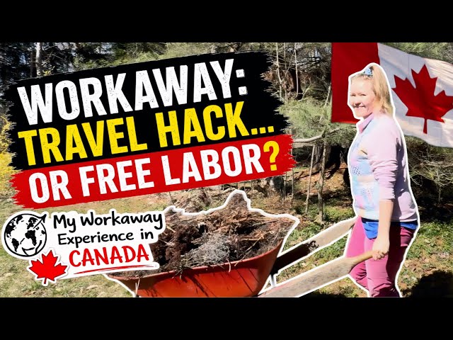 I Tried Workaway in Canada… Here’s the Truth 🇨🇦