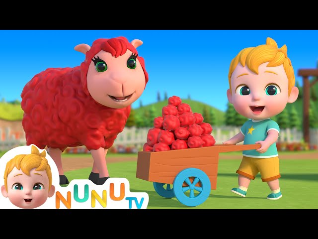 Baa Baa Color Sheep | Colors Song For Kids | Nursery Rhymes & Kids Songs | NuNu Tv
