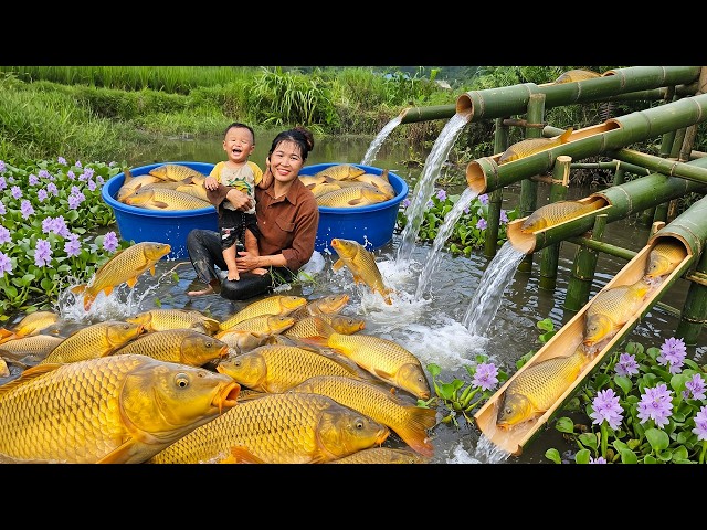 A Mother and Son Accidentally Discover an Abandoned Pond, Only to Find It Filled With Giant Carp.
