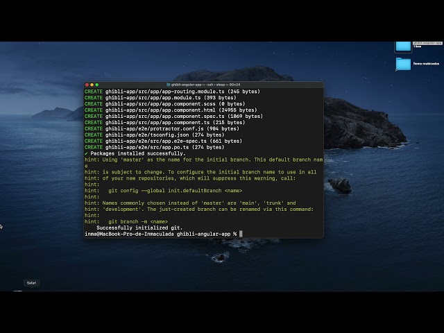 1. Angular 11. Creación de un nuevo proyecto y estructura generada.