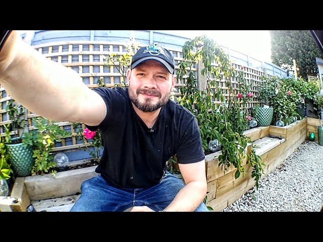 FLOAT & SET PLASTERING WITH DANNY BALMER