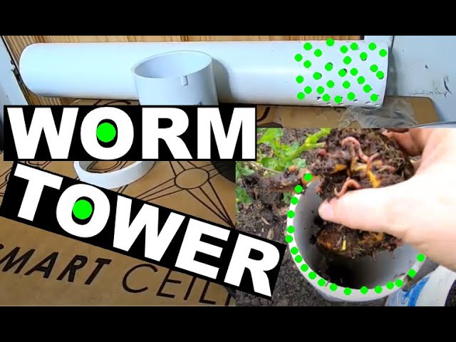 How To Make An Easy DIY Worm Compost Tower In Your Garden
