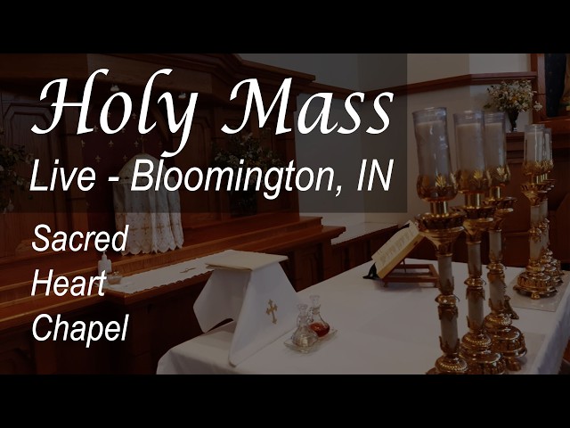 Live Mass & Rosary - 7 AM, Fri, Oct 23 - St. John of Capistrano