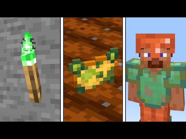 Minecraft Features NOBODY Uses