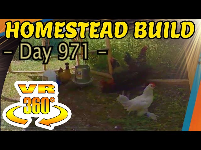 Homestead Building - Problem Chickens, Roof Supports