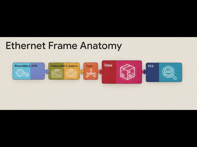 How does a frame look in datalink layer