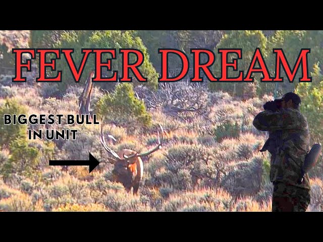 FEVER DREAM - A Public Land Archery Elk Hunt in Wyoming (Limited Quota)