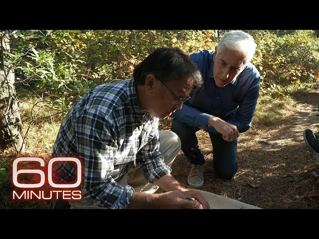 Genetically engineering mouse DNA could be key to curbing Lyme disease | 60 Minutes