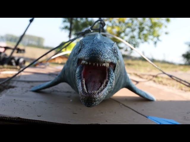 Kunst aan de Maas |  Art on the Meuse: Mark Dion - Tree of Life  (Herbricht, BE)