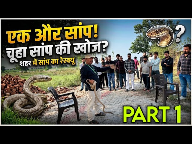 Nest of snakes rescued from Dream City in Shamli 😱 People present were shocked, see how!