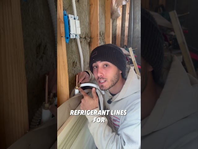 I Screwed Up My Treehouse - AGAIN