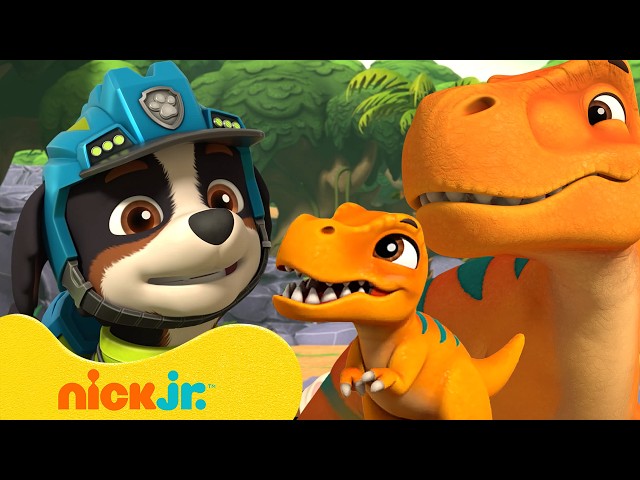 PAW Patrol Rescues Baby Dinosaurs with Rex! 🦖 | Nick Jr.