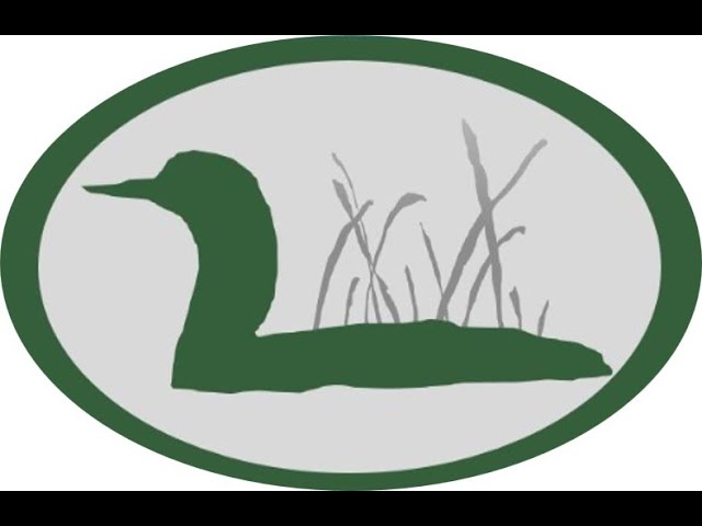 Lake Kanasatka LoonCam Live 2026