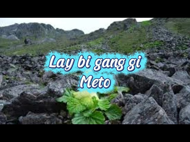 Lay bi gang gi meto [vocal off] || Jigme nidup || Rinchen namgay || Dechen Pem