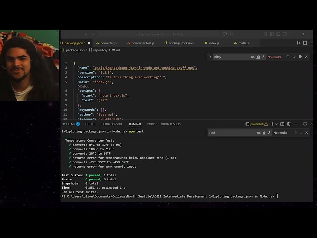 Exploring package json in Node js
