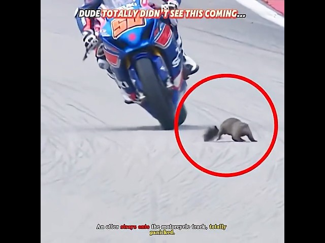 Motorcycle Highlights #Cars #Racing #Motorcycles #motogp