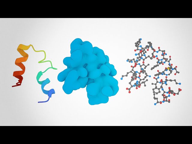 Proteins: Explained