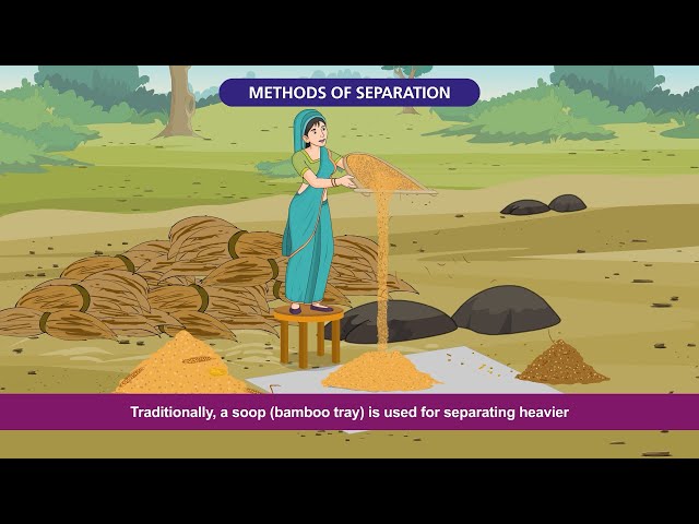 Class 6 | Science Curiosity Chapter-9 | Methods of Separation in Everyday Life
