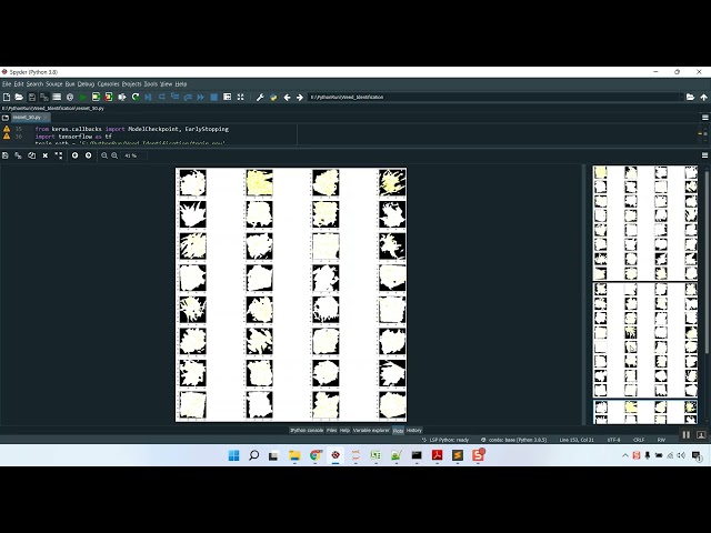 Weed Identification CNN Train Analysis in Python Projects