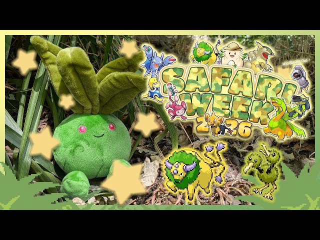 My Craziest Pokémon Safari Week YET! | Safari Week 2026