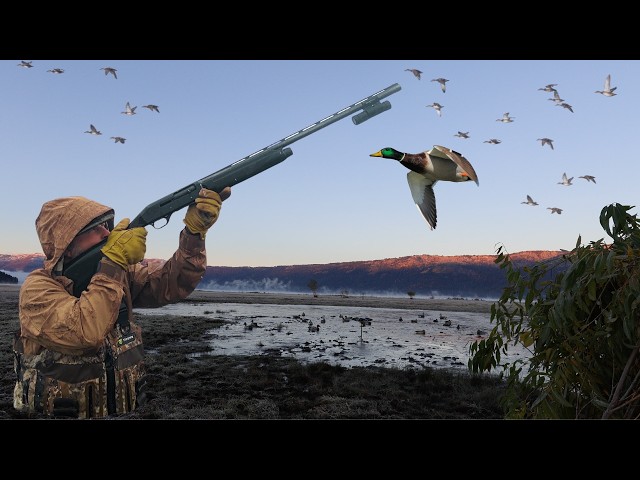 THE BEST DUCK CALL EVER? MOUNTAIN MALLARD HUNT ON TINY WATER