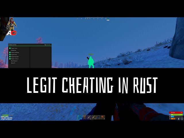 Playing a WIPE with Cheats in RUST ("Legit Cheating w/discord.gg/averycheats')