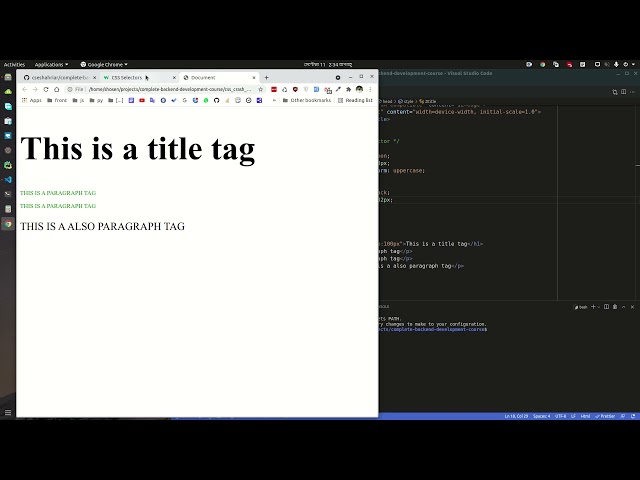 CSS Crash Course for Beginners | Learn CSS in 1 Hour (2025)