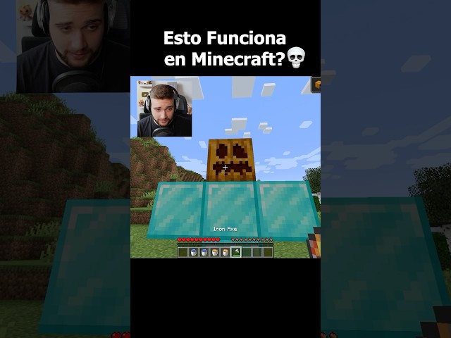 Esto Funciona en Minecraft? 💀