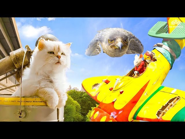 बाज़ के सामने चूहों को लंबी उड़ान भरनी ही नहीं चाहिए। Stuart Little 2 (Hindi Dubbed) Climax Scene