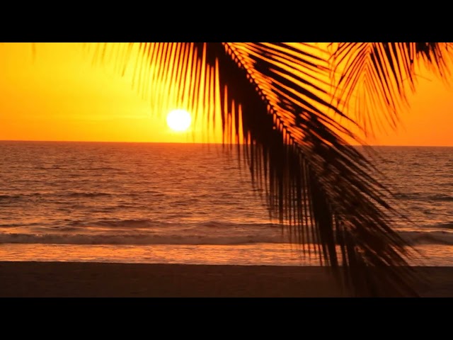 Nirvana - Smells Like Teen Spirit (Bossa Nova Cover by Mats & My) Smooth Song